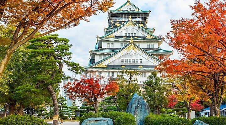 TOUR JAPAN 8D 3 NOV 2025