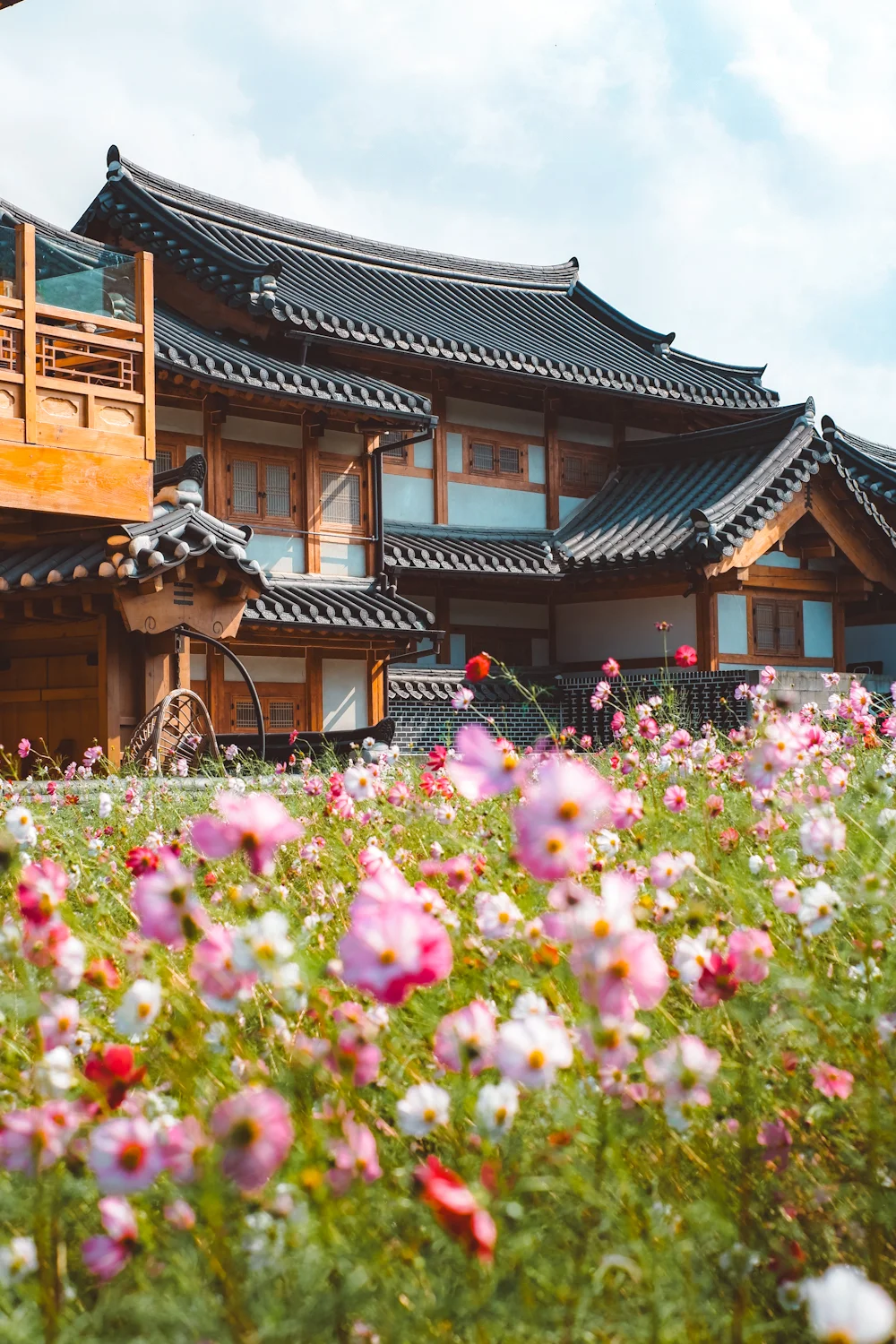 8D6N TAEAN TULIP + CHERRY BLOSSOM KOREA 8 APR 2026